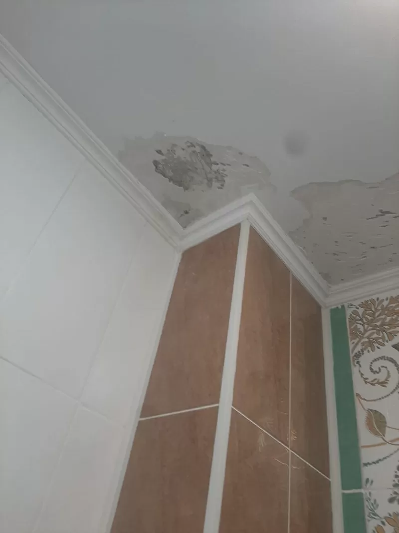 Удаление пятен на потолке 100% гарантия