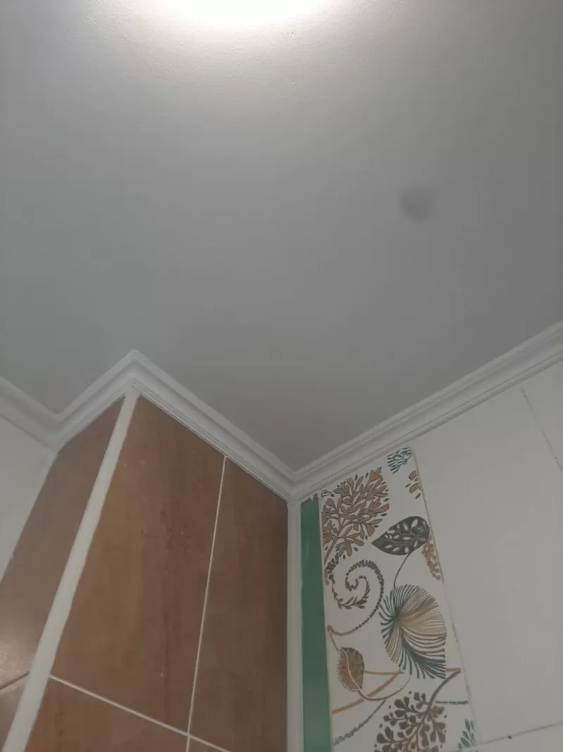 Удаление пятен на потолке 100% гарантия 2