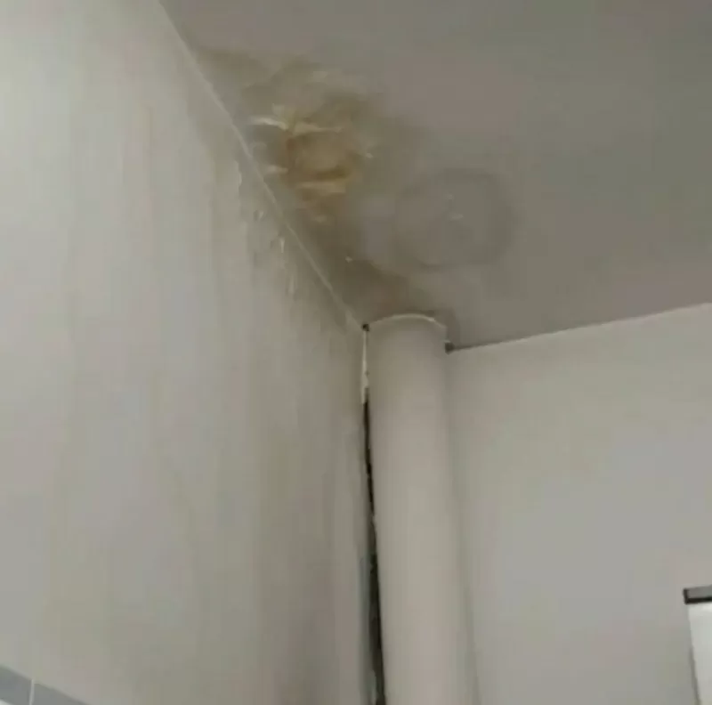 Удаление пятен на потолке 100% гарантия 5