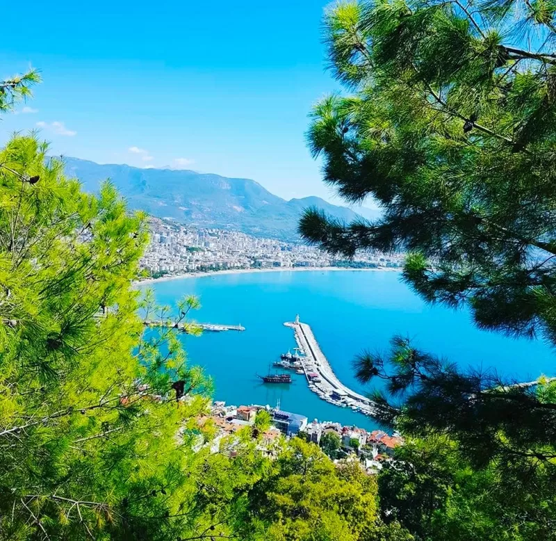 ADL Invest: недвижимость в Турции  быстро,  надёжно,  под ключ 3