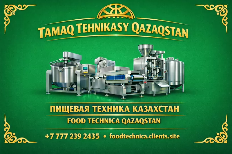 Конвекционная печь для запекание рыбы KING KH-01 Печь,  приготовление п 2