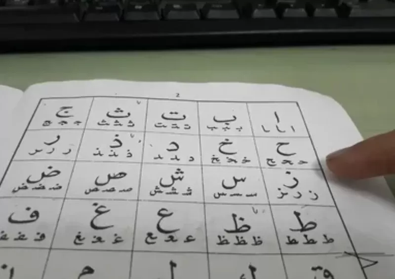 Arabic teacher and translator seeking employment