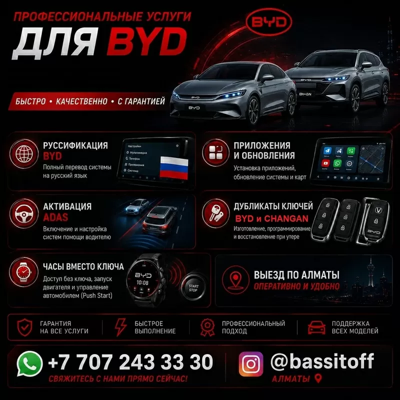  BYD  профессиональные услуги в Алматы